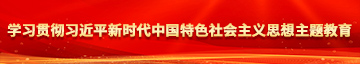 免费看肏屄学习贯彻习近平新时代中国特色社会主义思想主题教育